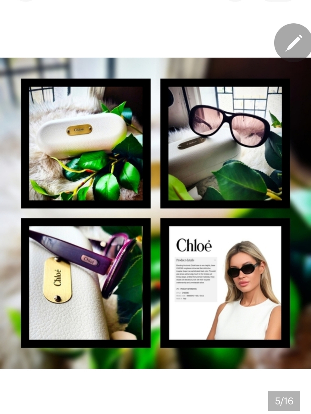 ✨️ Gorgeous Chloe Gayia Sunglasses ✨️